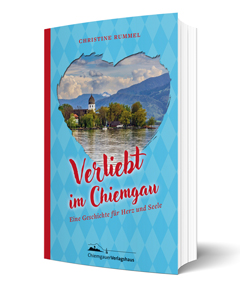 Coverdesign für Roman